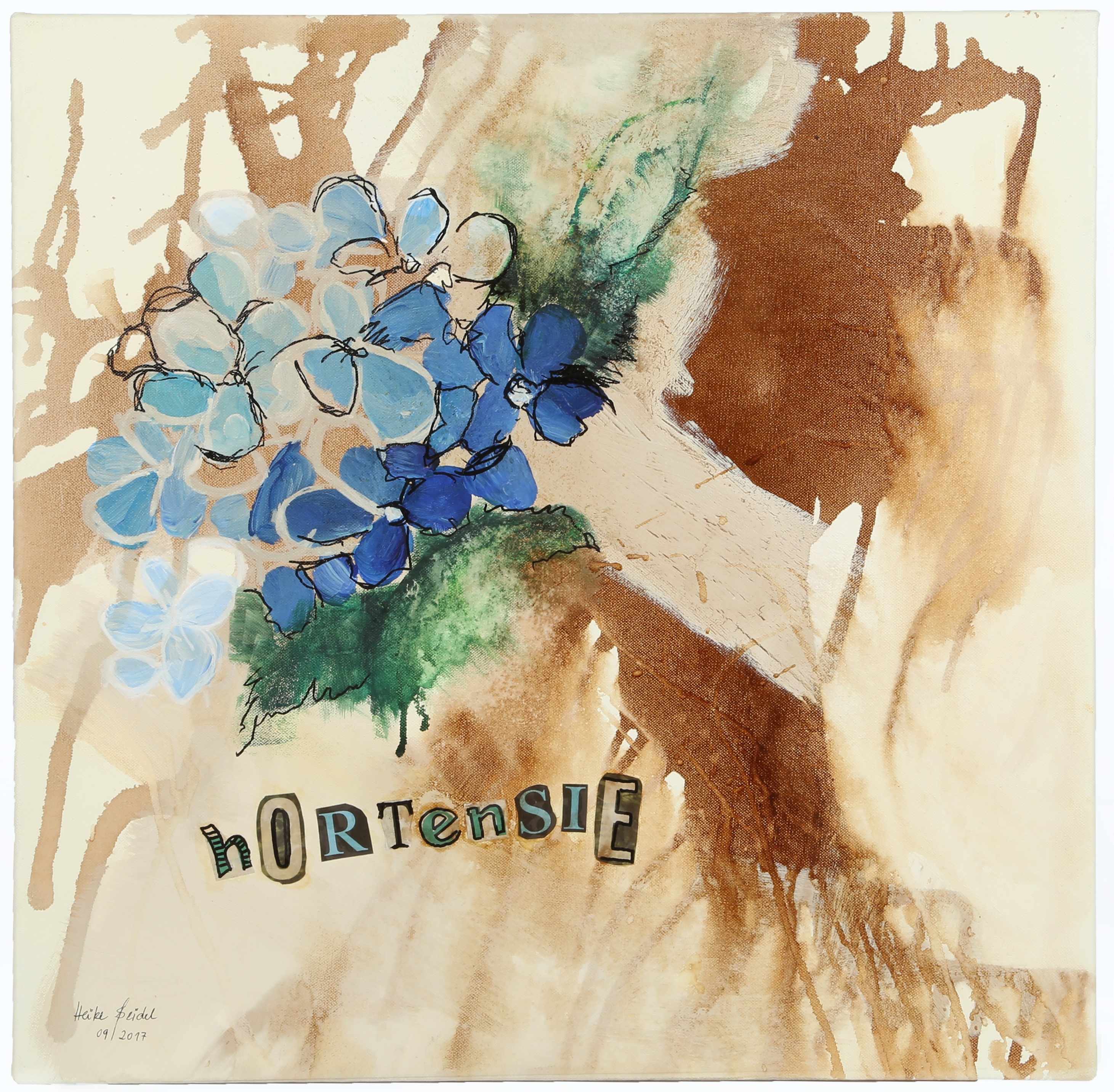 Kaffee-Hortensie